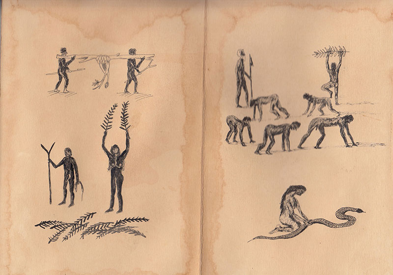 Tropika Selekta | Drawing on Paper | Collections of CTRS