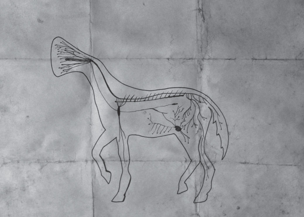 The Mythology of Runcuk Horse and Its Transformation