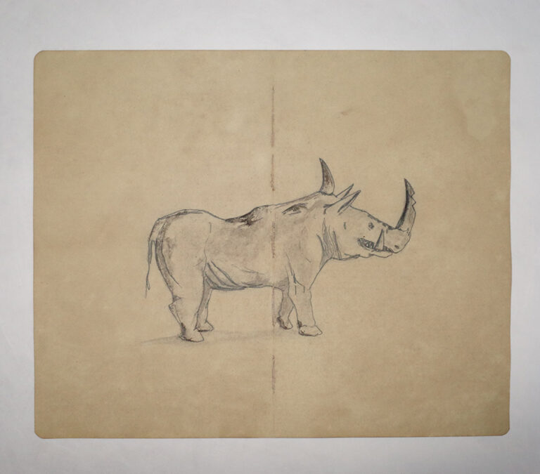 Drawing Study of Flora and Fauna in Tanah Runcuk (Excerpted from Stern’s Manuscript & Journal)