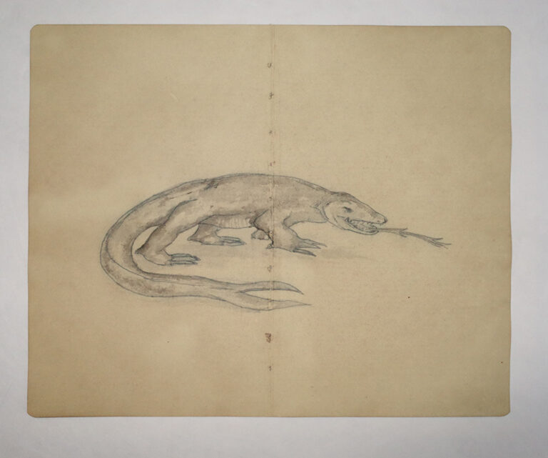 Drawing Study of Flora and Fauna in Tanah Runcuk (Excerpted from Stern’s Manuscript & Journal)