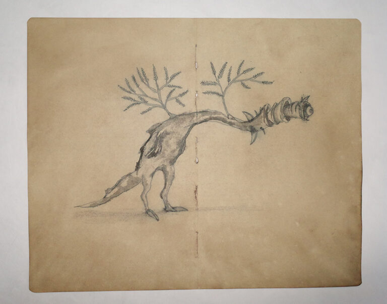 Drawing Study of Flora and Fauna in Tanah Runcuk (Excerpted from Stern’s Manuscript & Journal)