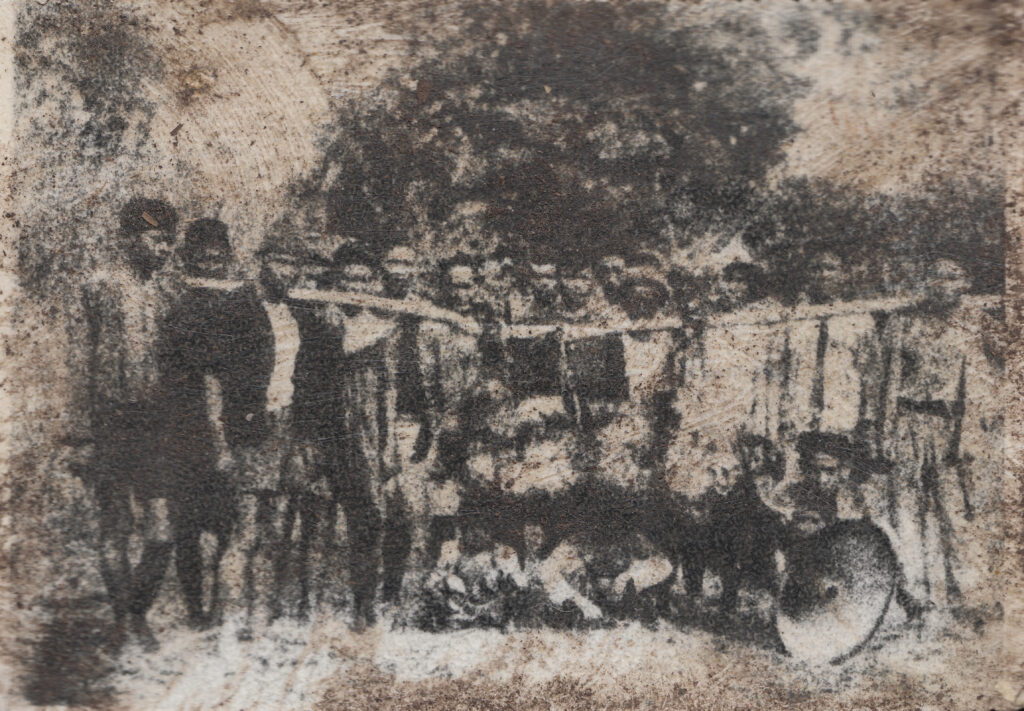 Photograph of Equus ferus sonitus (2)