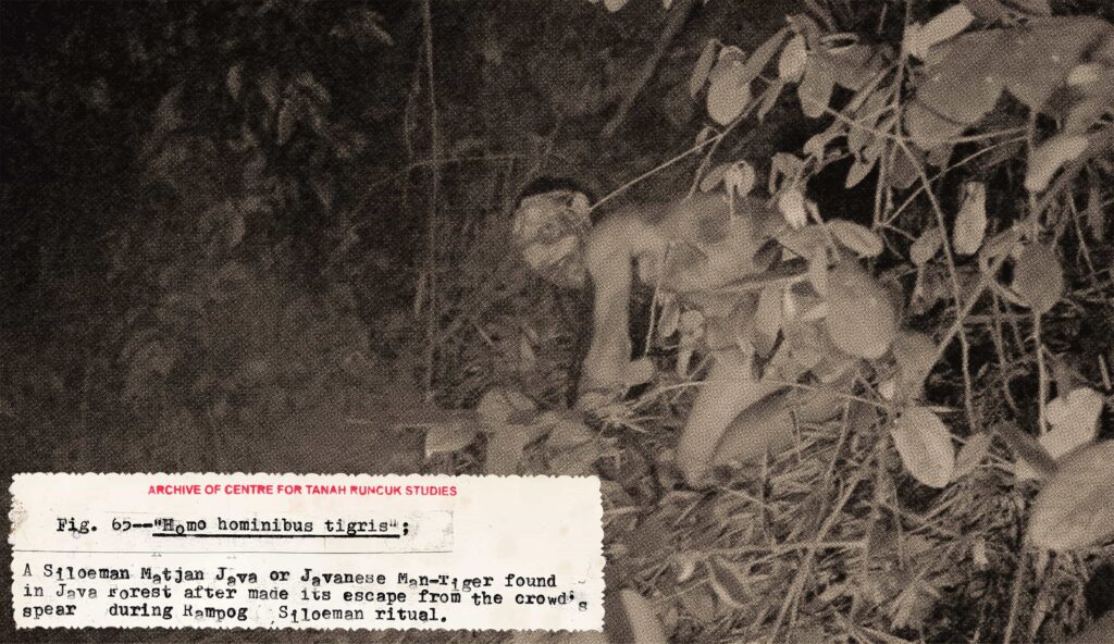 Homo hominibus tigris