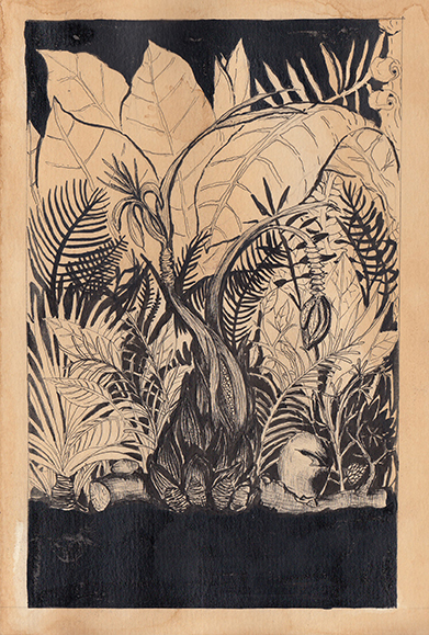 Drawing Study of Orang Runcuk (Excerpted from Stern’s Manuscript & Journal)
