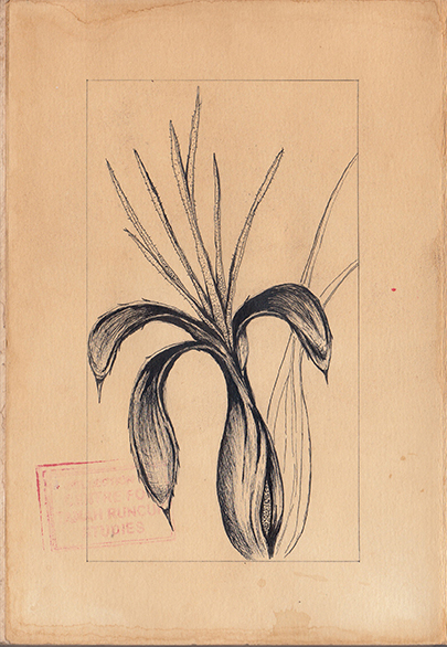 Drawing Study of Orang Runcuk (Excerpted from Stern’s Manuscript & Journal)